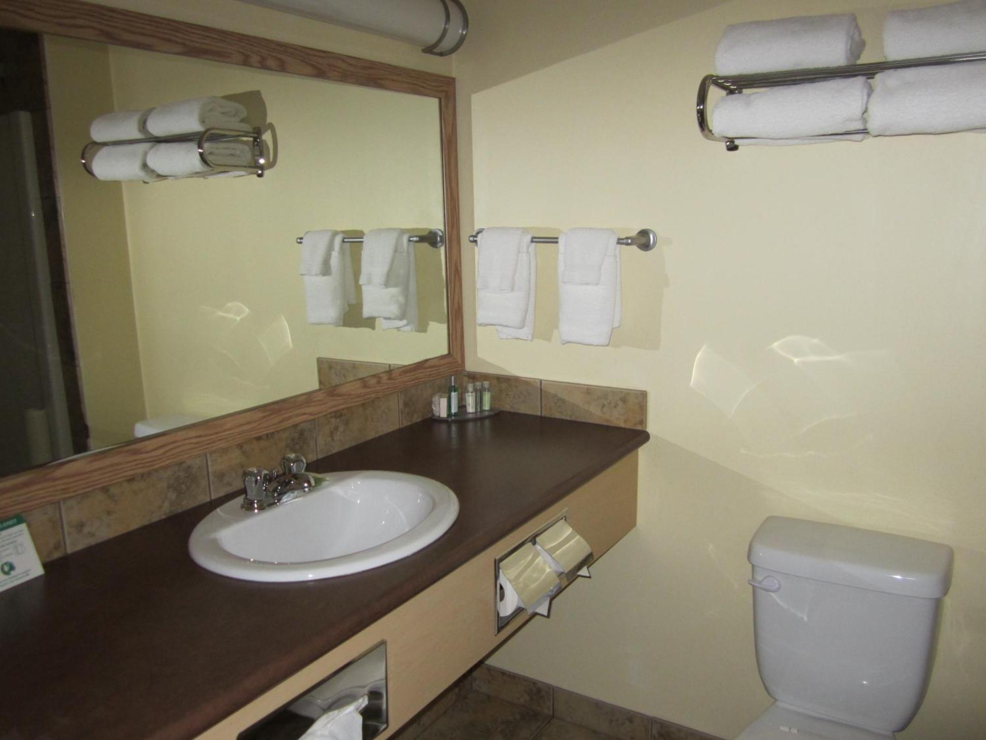 Trend Mountain Hotel & Conference Centre Tumbler Ridge الغرفة الصورة