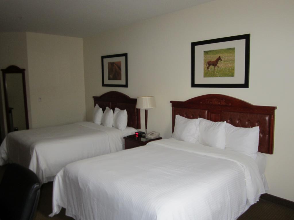 Trend Mountain Hotel & Conference Centre Tumbler Ridge الغرفة الصورة