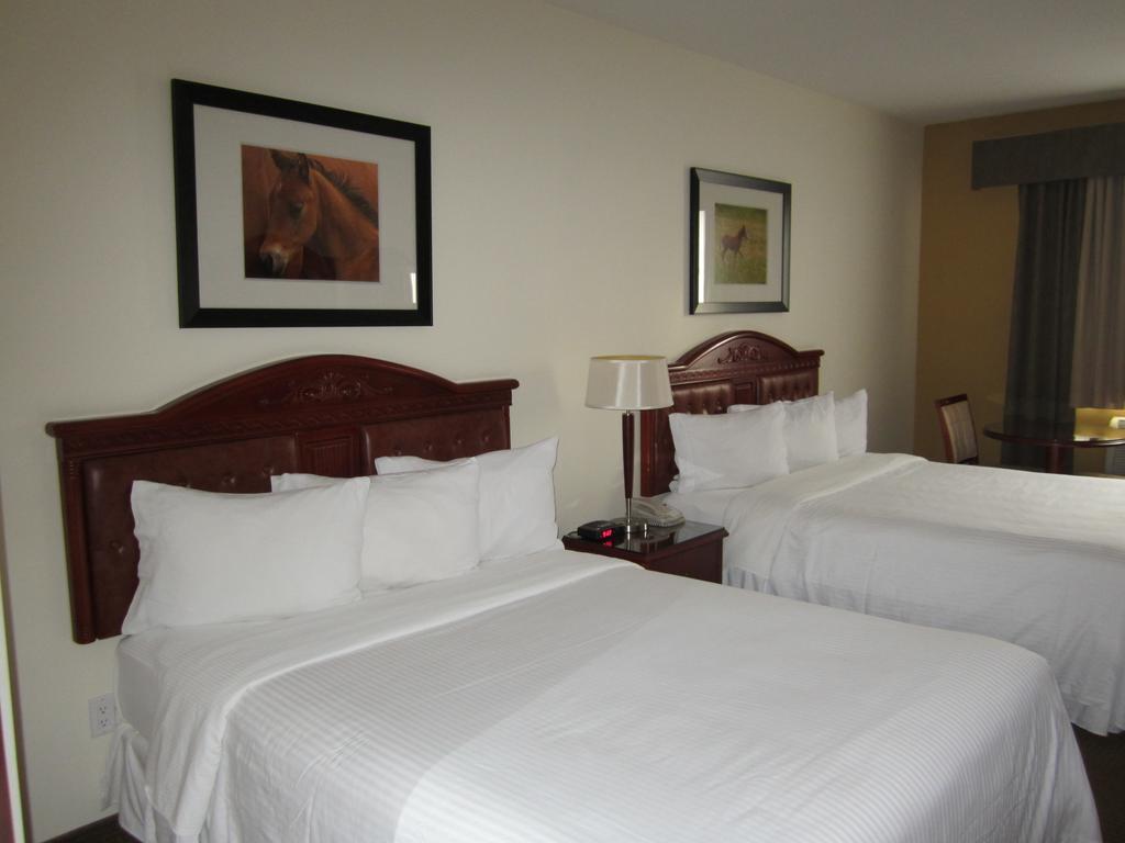 Trend Mountain Hotel & Conference Centre Tumbler Ridge الغرفة الصورة